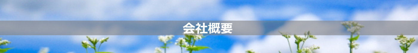 会社概要／建物改修工事・外壁改修工事